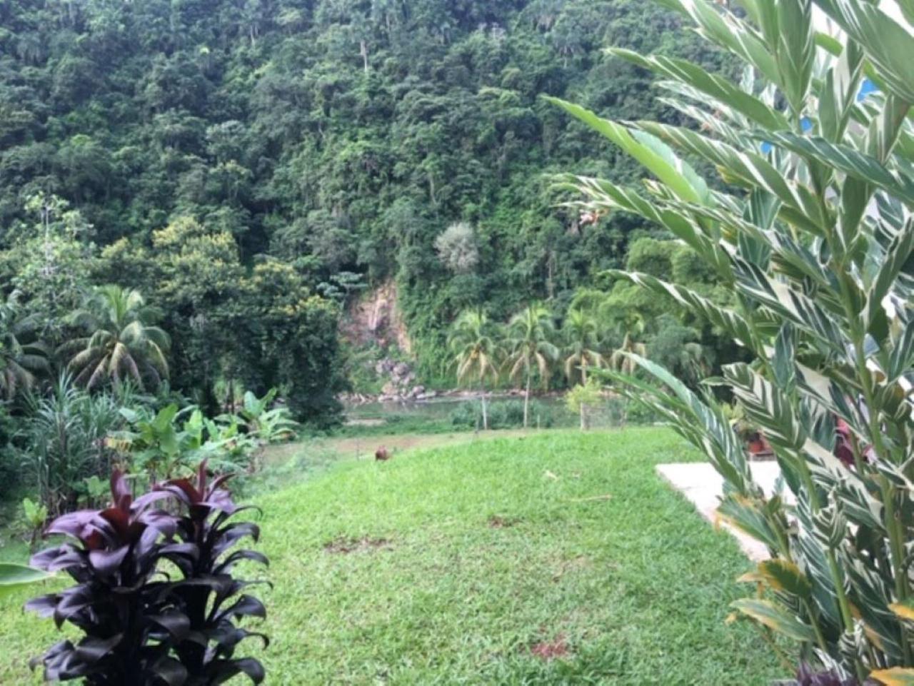 Casa De Campo Rio Arriba Arecibo Esterno foto